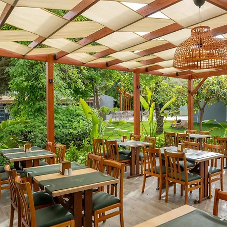 Marbel By Palmwings 4*